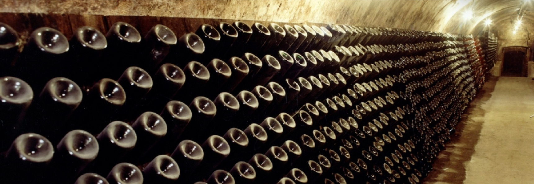 Vue sur une rangée de pupitre où repose des centaines de bouteille de champagne dans une cave voutée
